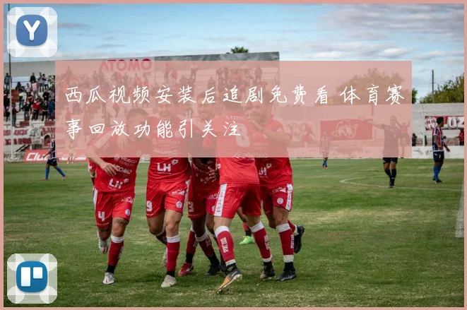 西瓜视频安装后追剧免费看 体育赛事回放功能引关注