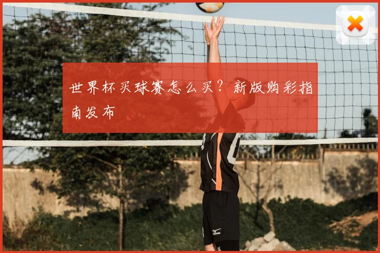 世界杯买球赛怎么买?新版购彩指南发布