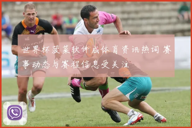 世界杯菠菜软件成体育资讯热词 赛事动态与赛程信息受关注