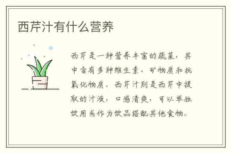 西芹汁有什么营养(西芹汁有什么营养价值和功效)