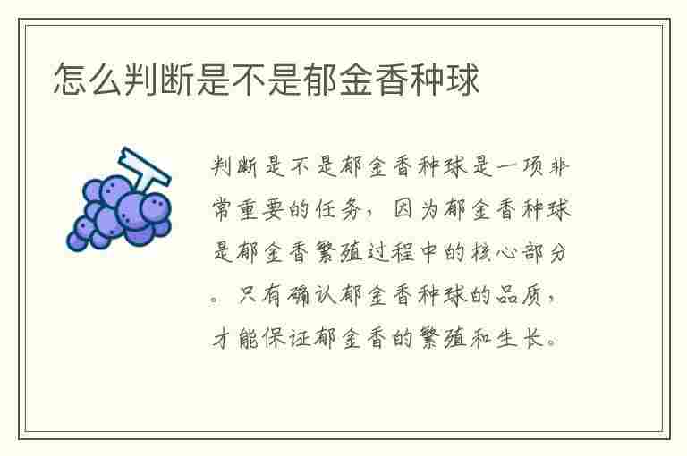 怎么判断是不是郁金香种球(怎么判断是不是郁金香种球呢)