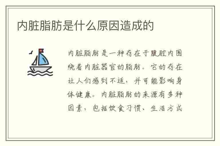 内脏脂肪是什么原因造成的(内脏脂肪是什么原因造成的怎么减)