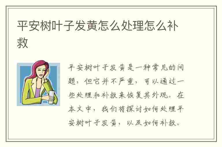 平安树叶子发黄怎么处理怎么补救