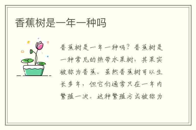 香蕉树是一年一种吗(香蕉树是一年一种吗有没有生二串的)