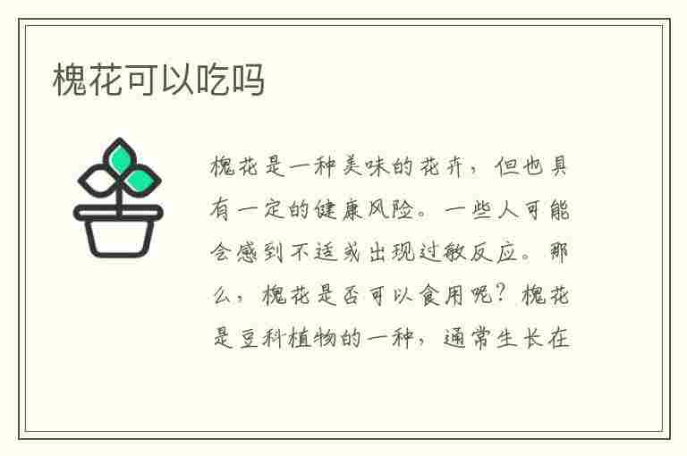 槐花可以吃吗(槐花可以吃吗有毒吗)