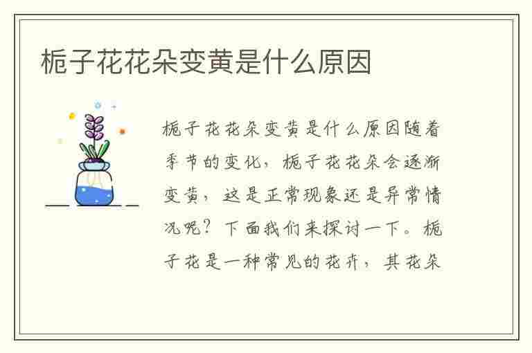 栀子花花朵变黄是什么原因(栀子花花朵变黄是什么原因造成的)