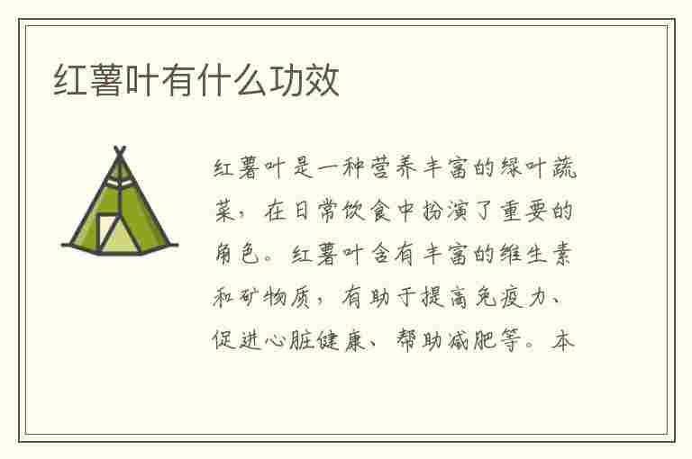 红薯叶有什么功效(红薯叶有什么功效和营养)