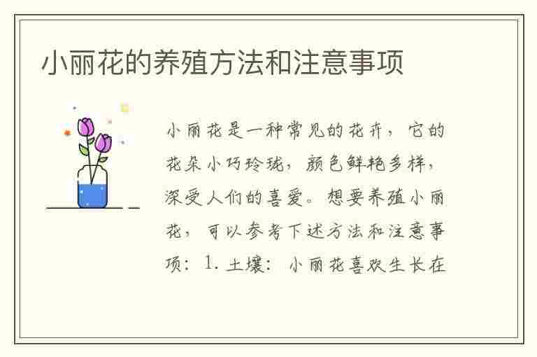 小丽花的养殖方法和注意事项