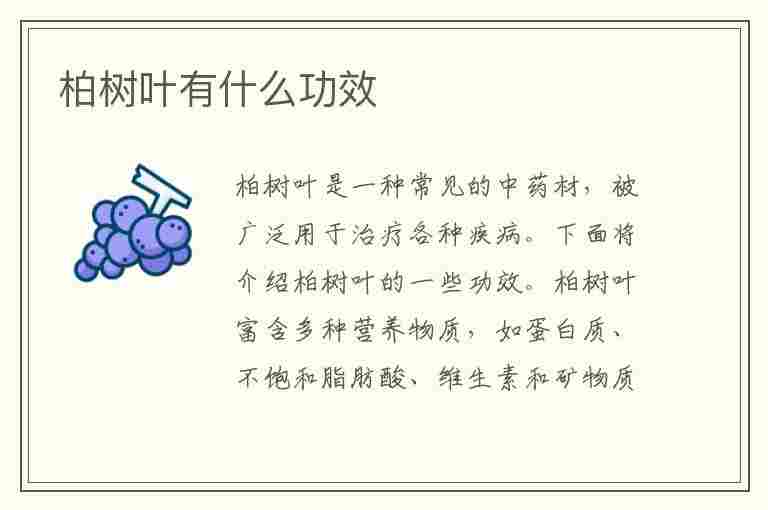 柏树叶有什么功效(柏树叶有什么功效与作用)