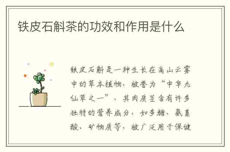 铁皮石斛茶的功效和作用是什么