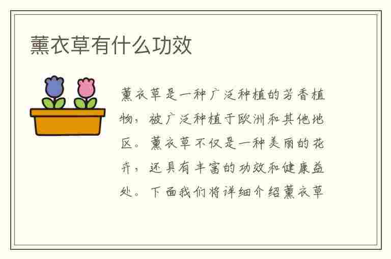 薰衣草有什么功效(薰衣草有什么功效和作用)