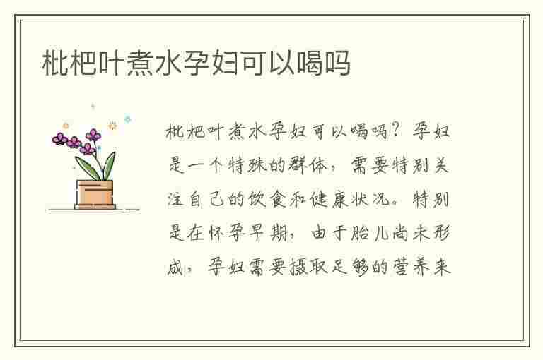 枇杷叶煮水孕妇可以喝吗(枇杷叶煮水孕妇可以喝吗29l周)