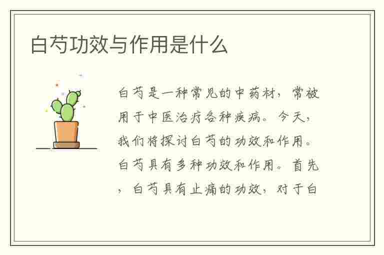 白芍功效与作用是什么(白芍功效与作用是什么呢)