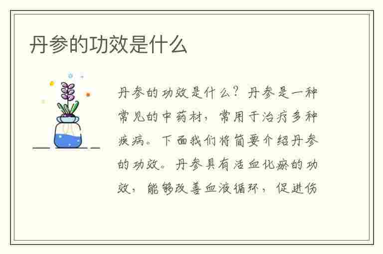 丹参的功效是什么(川芎配丹参的功效是什么)