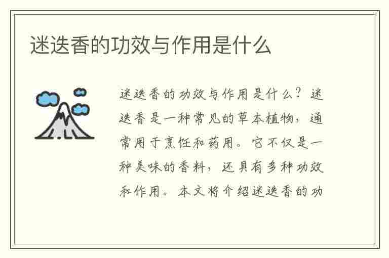 迷迭香的功效与作用是什么