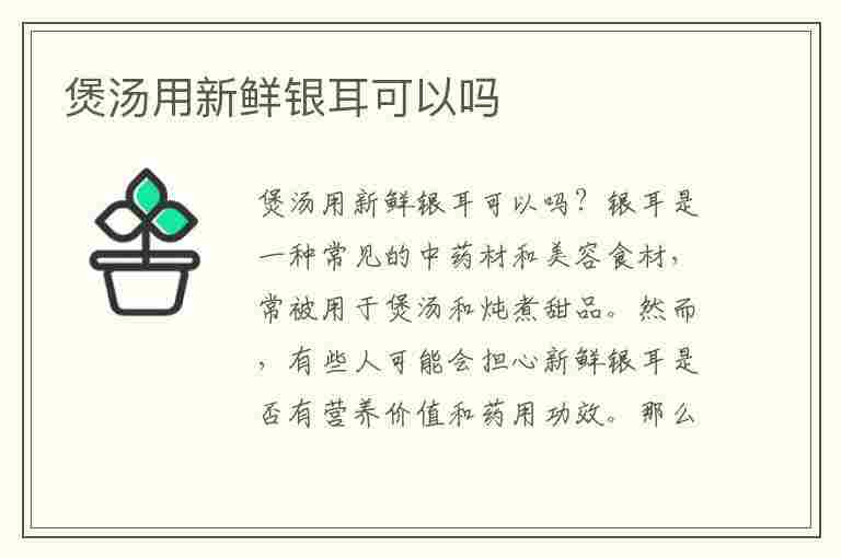 煲汤用新鲜银耳可以吗(煲汤用新鲜银耳可以吗怎么做)