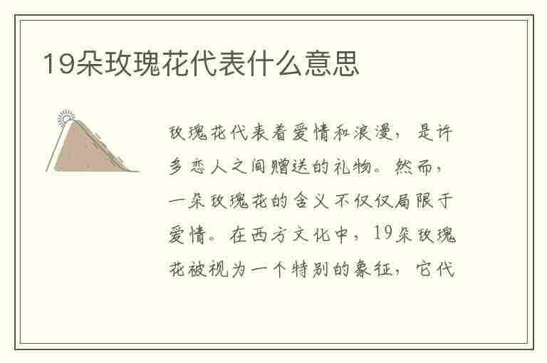 19朵玫瑰花代表什么意思(19朵玫瑰花代表什么意思粉色)