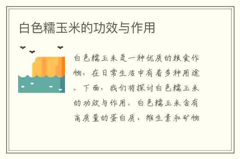 白色糯玉米的功效与作用(白色糯玉米的功效与作用果粒煮粥功较)